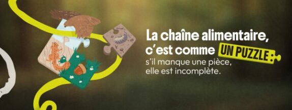 Comprendre la chaîne alimentaire, la clé du développement durable !